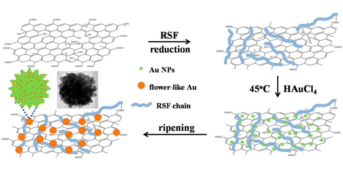 nanoparticles/reduced graphene oxide composite with regenerated