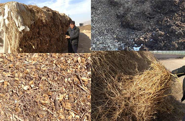 农业废弃物制生物燃气项目