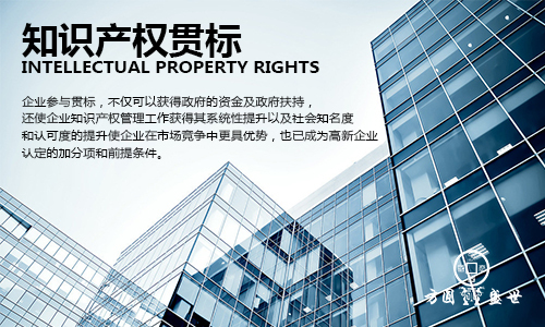 知识产权管理体系