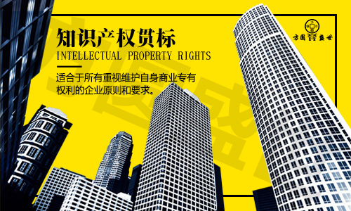 知识产权管理体系