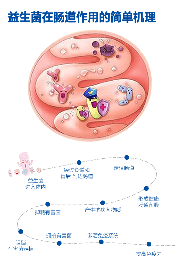 市面上益生菌种类繁多,我们要如何选择?