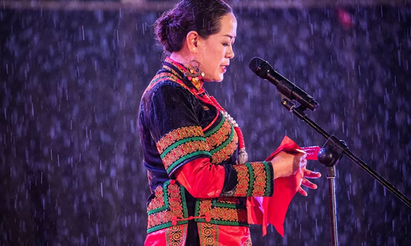 Gestton捷思通专业演出无线话筒