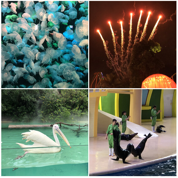 专业音视频系统厂家Gestton捷思通2019珠海团建活动图片