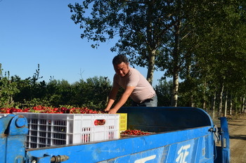 1627006365165721.jpg 002.jpg