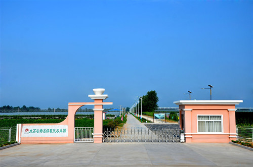 19.jpg