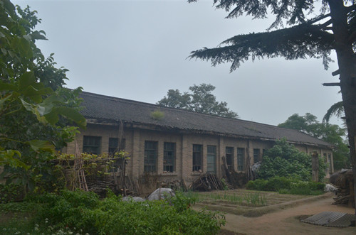 1627007617479051.jpg 01.jpg