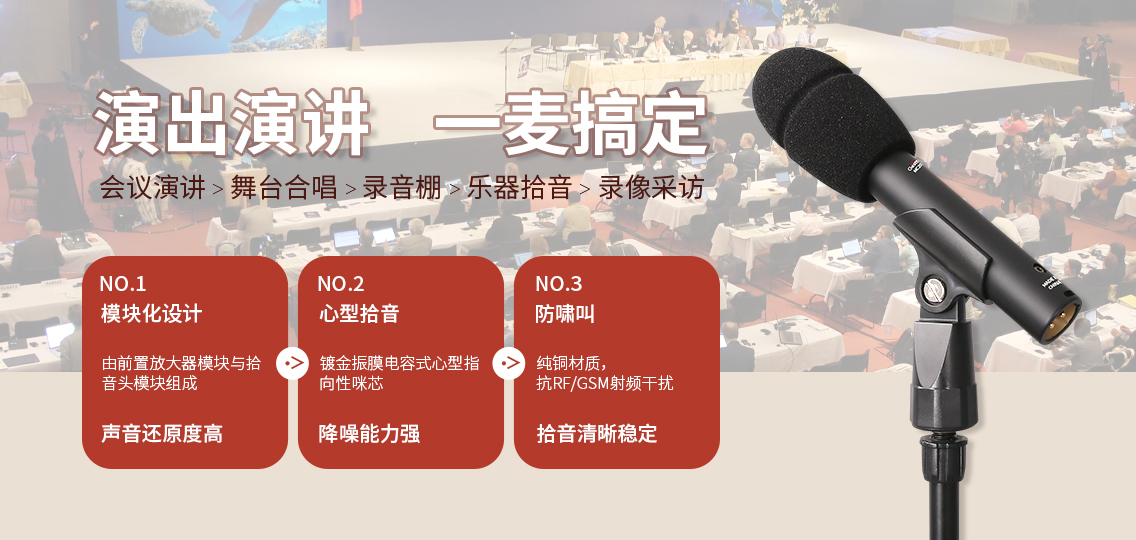 Gestton捷思通小振膜电容麦克风