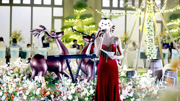 Gestton捷思通四十通道专业演出无线话筒案例