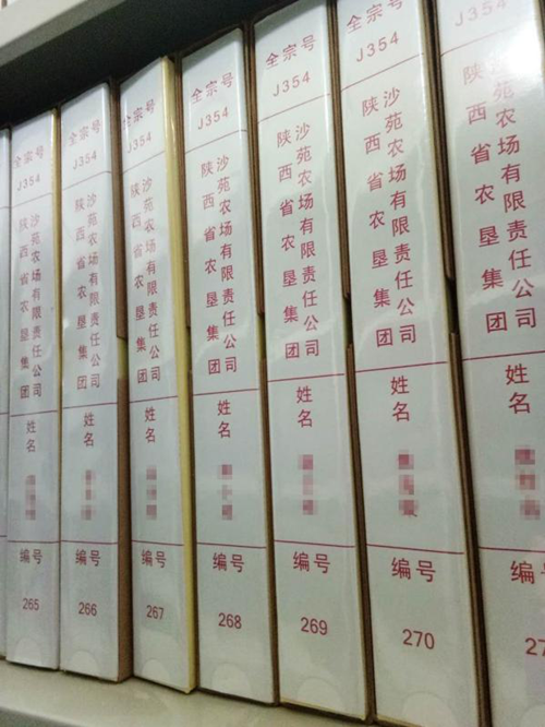 1626234355402851.png 01.png