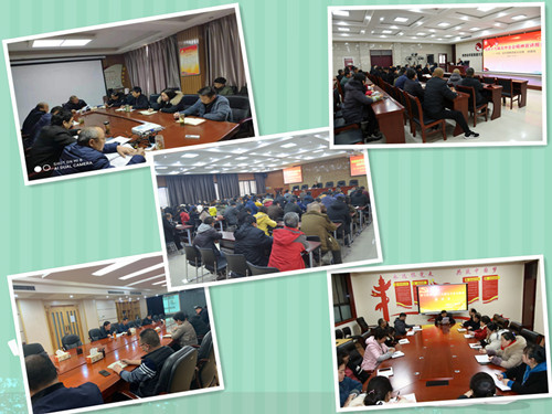 1625643917369509.jpg 1.jpg