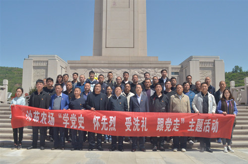 1625645505630083.jpg 5.jpg