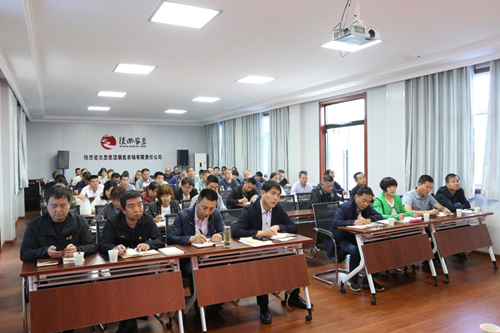 1625645807922540.png 004.png