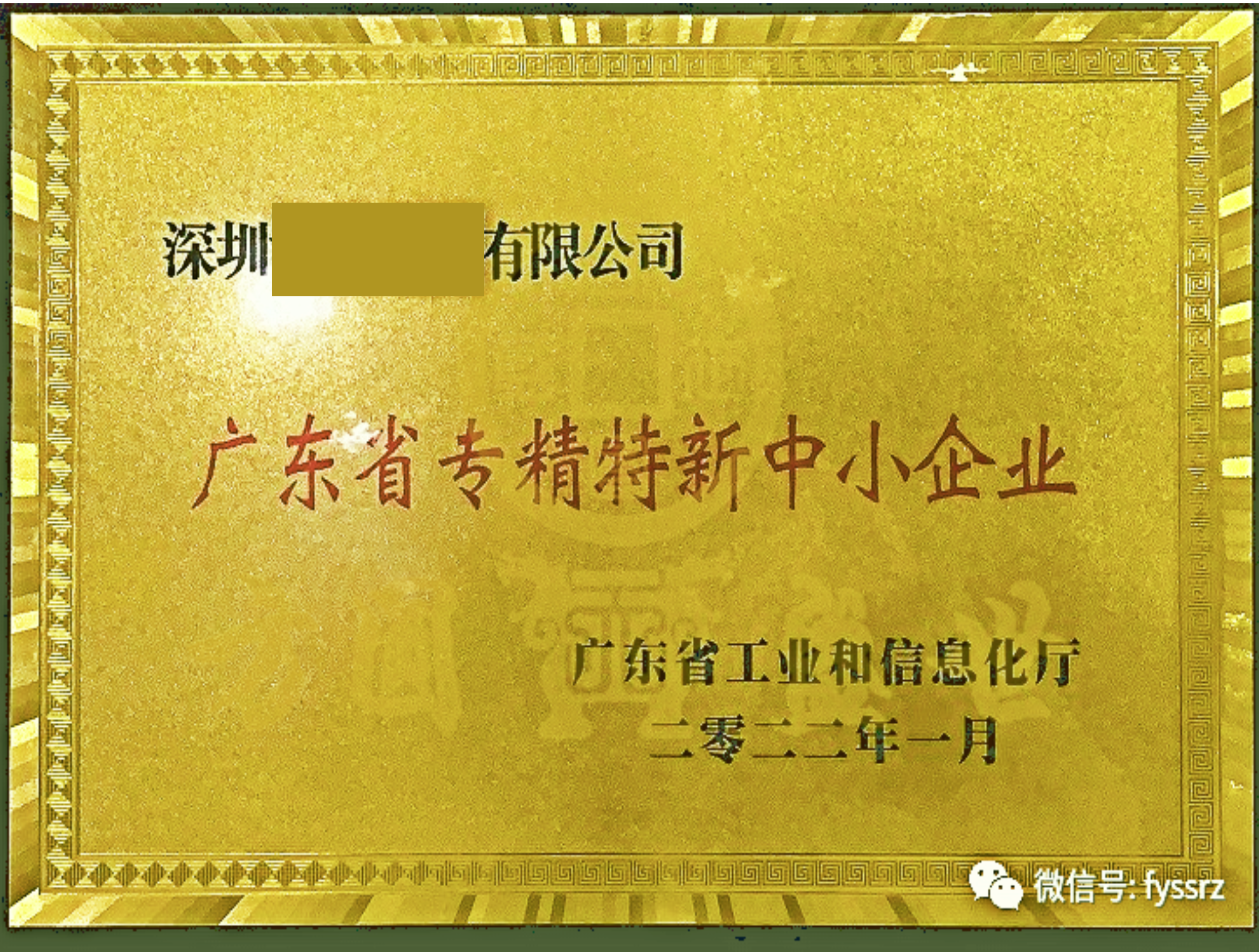广东省专精特新企业