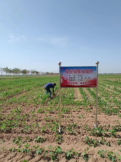 1730444779919572.jpg 165468028084686.jpg