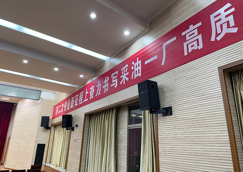 会议音箱系统方案