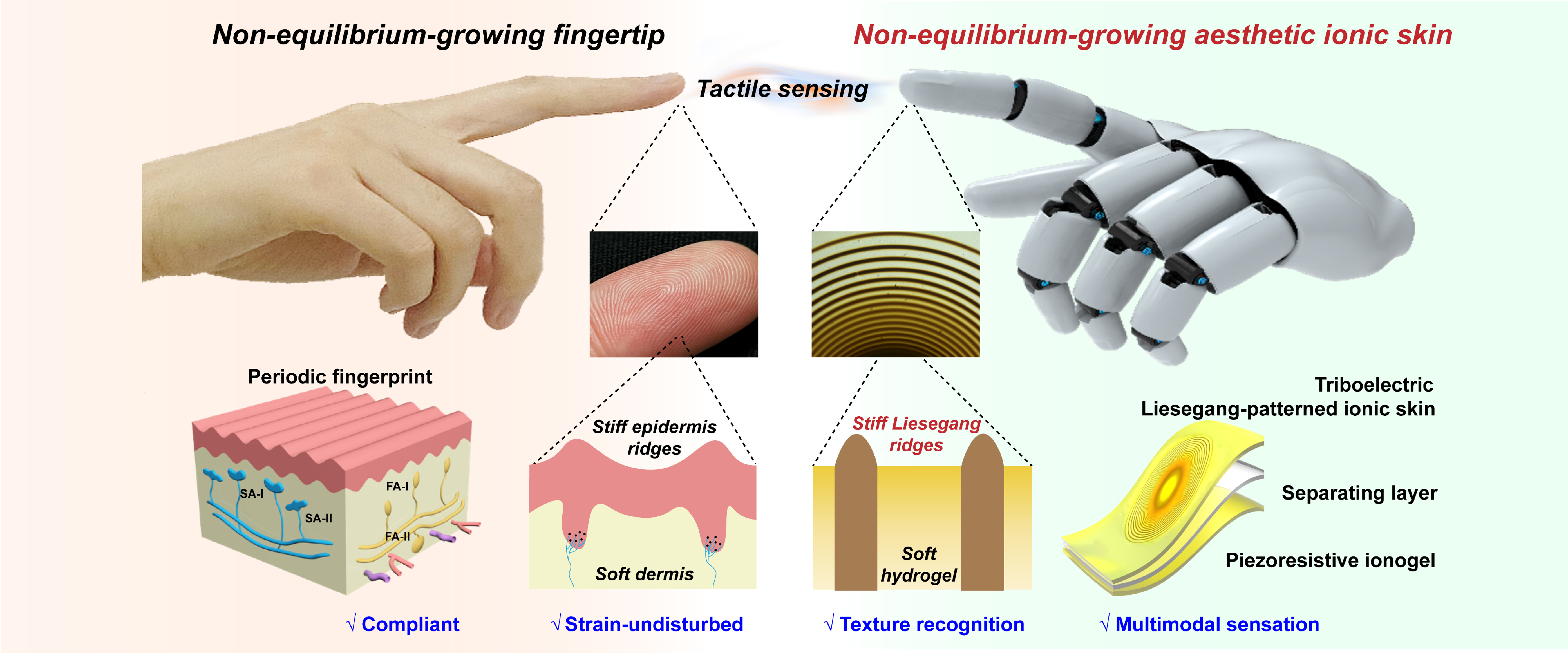 首例美学离子皮肤