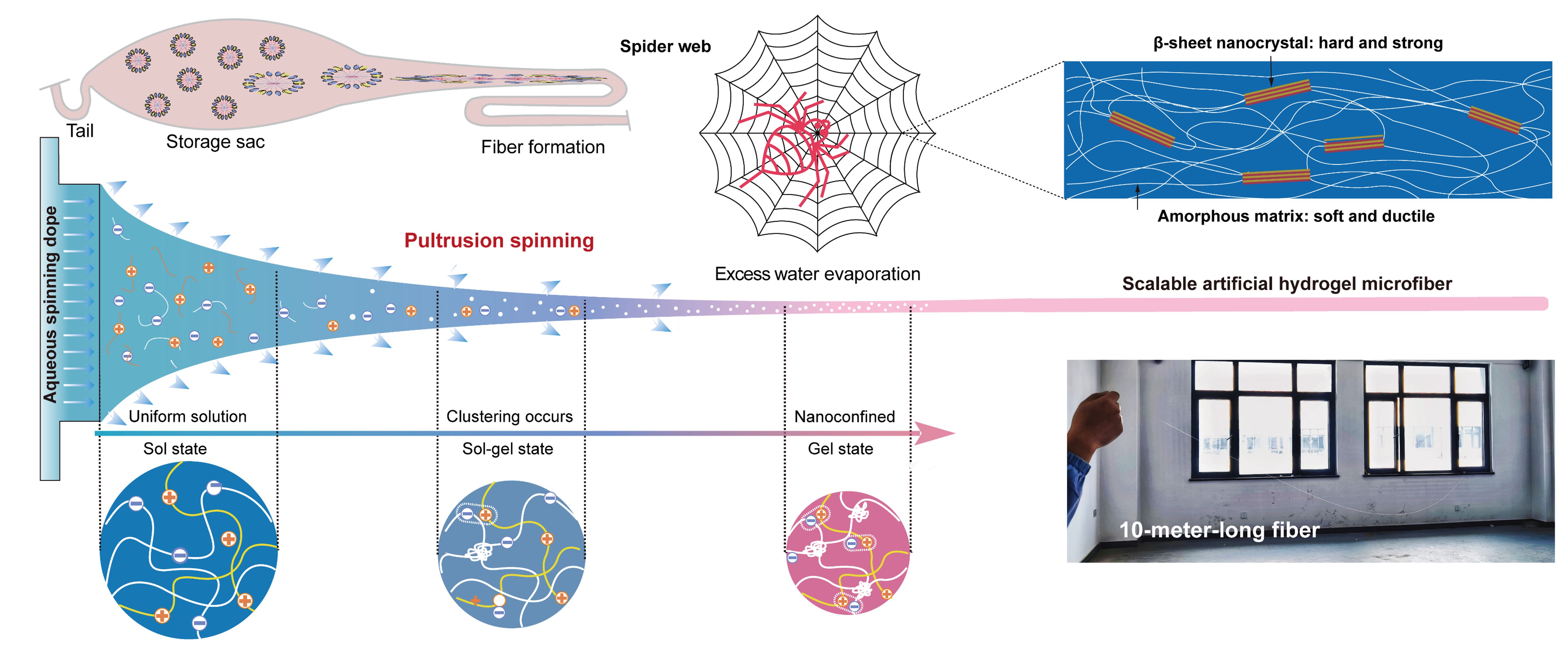无惧缺陷的高强韧智能水凝胶纤维