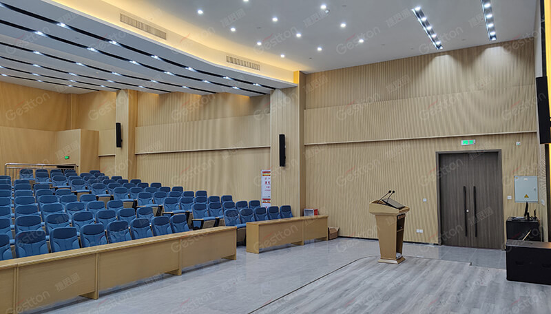 多功能厅扩声系统