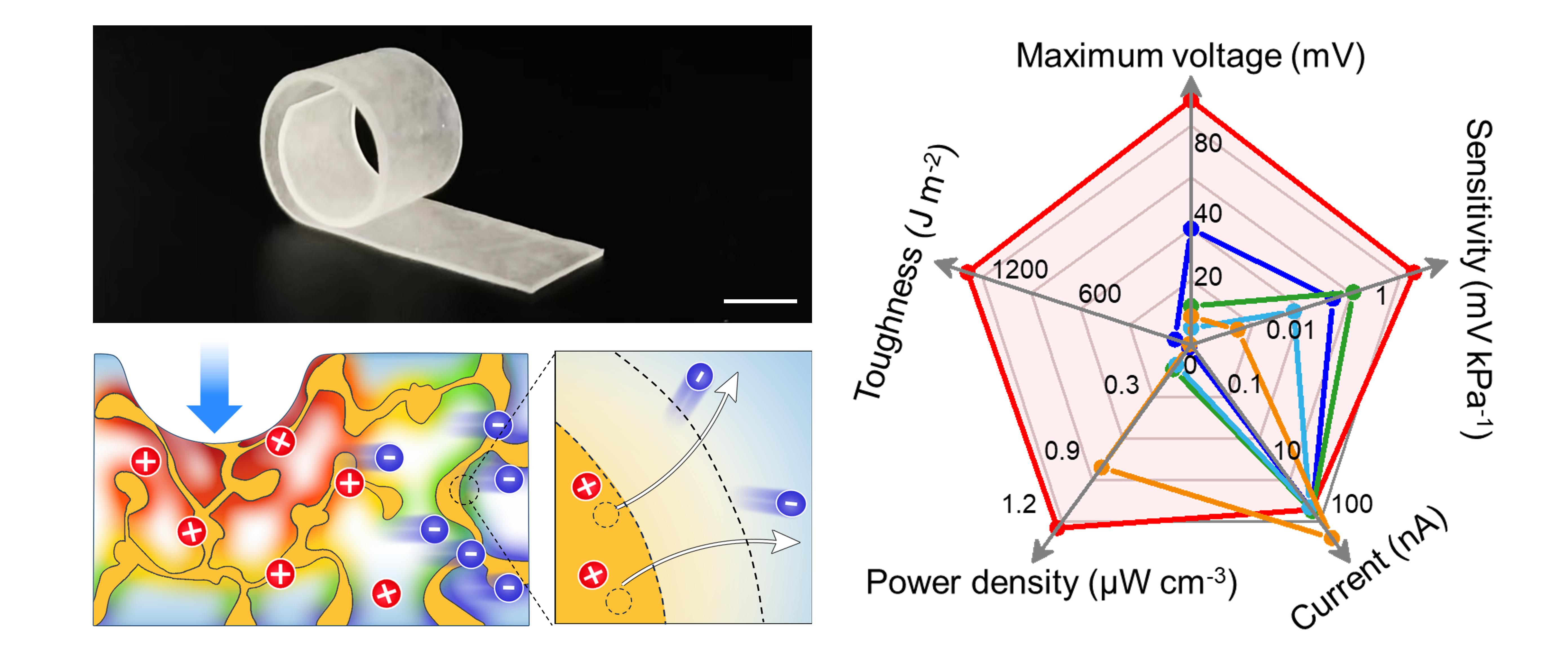相及相界面调控的离子压电弹性体实现离电系统的高效能量转换