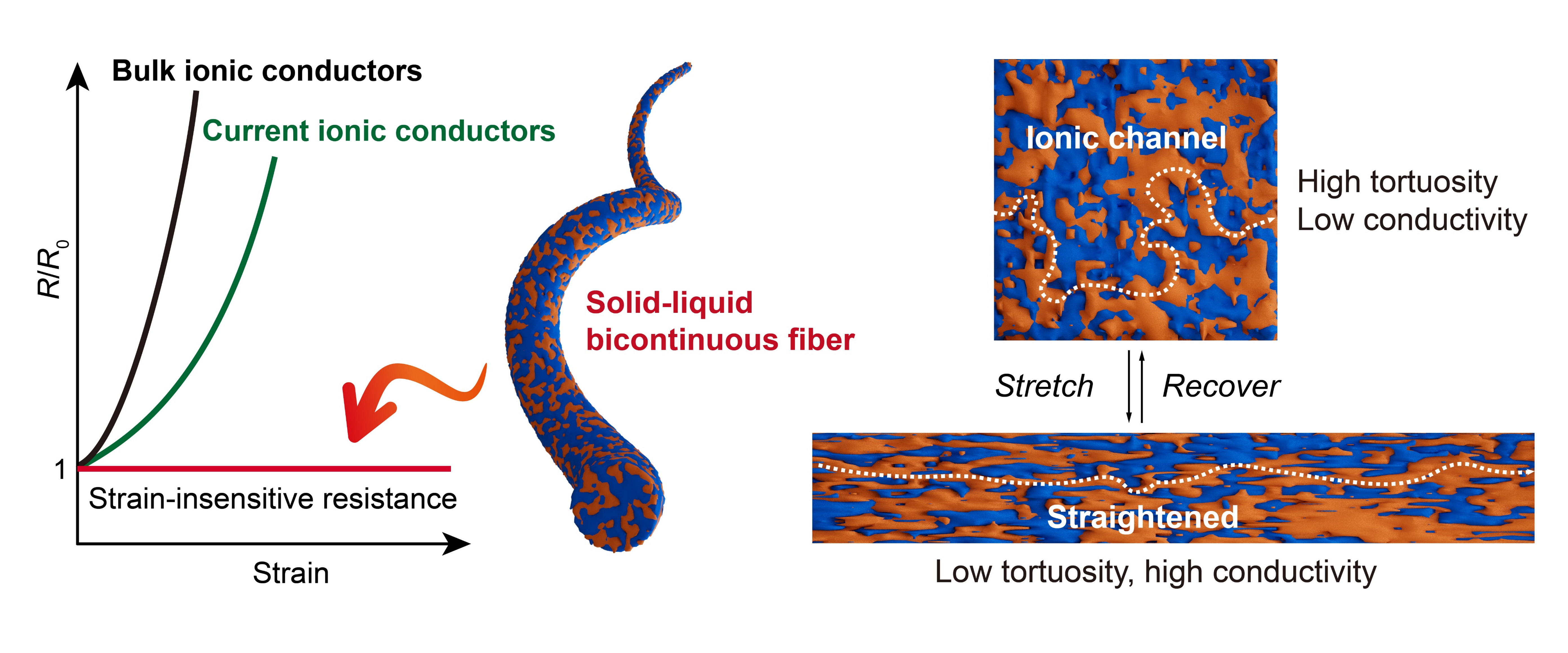 应变电阻不敏感的离子导电纤维