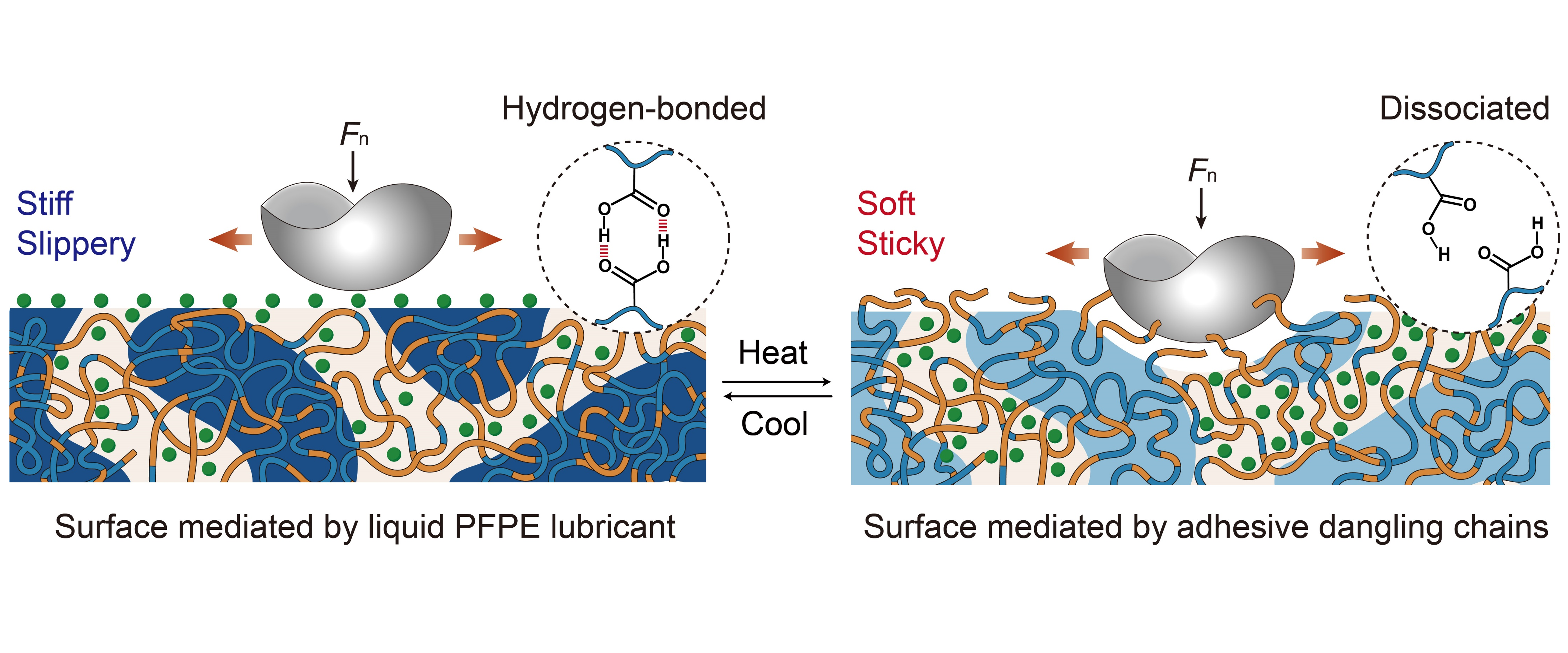 粘滑可切换的相分离氟凝胶