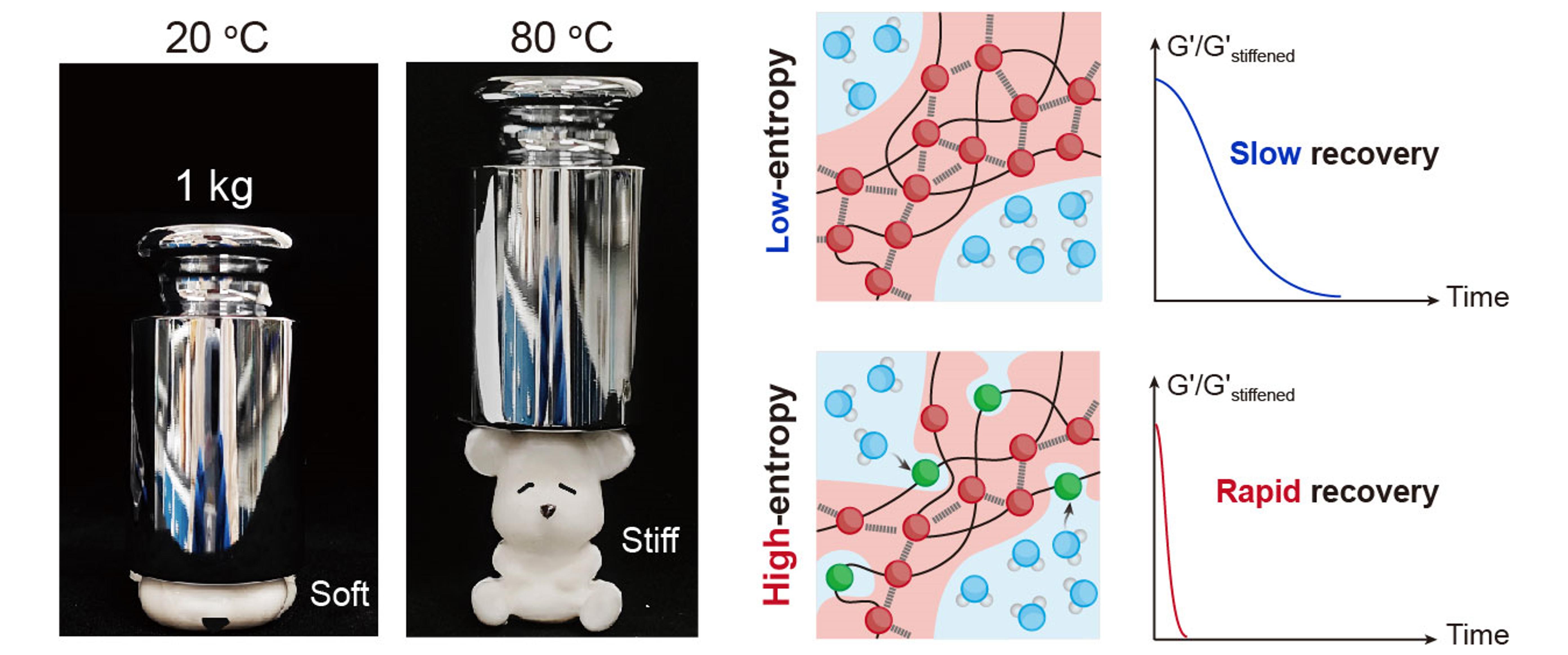 高熵相分离驱动水凝胶快速软硬切换