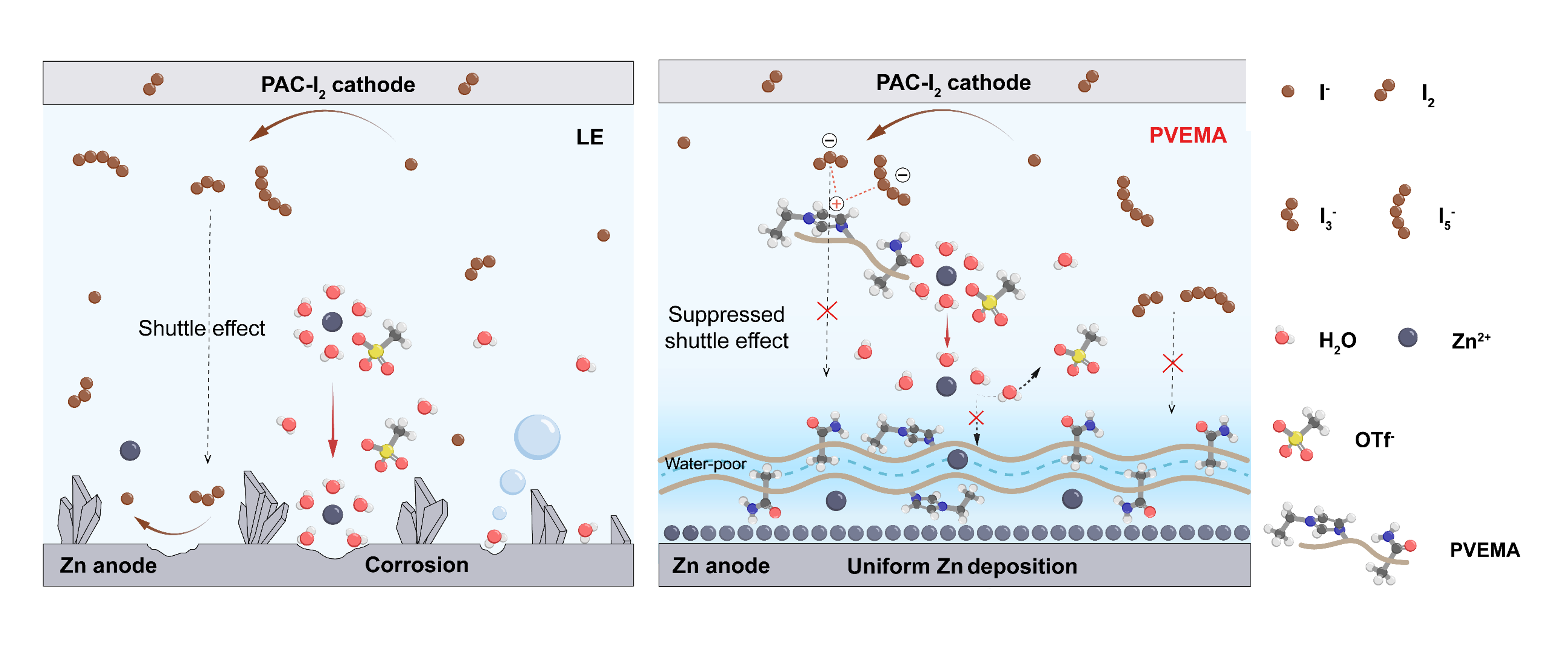 α-甲基调控两亲性聚离子液体助力锌碘电池