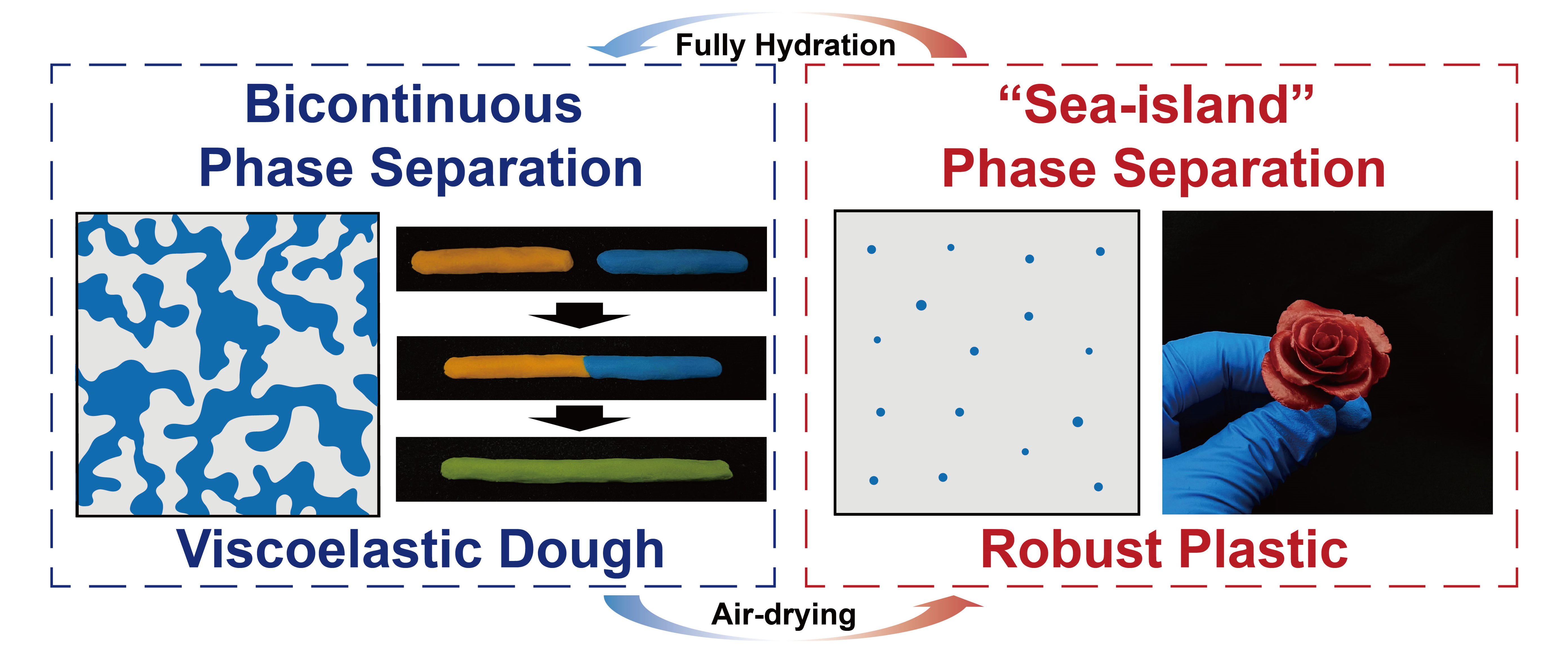 高机械强度与室温可再加工性的聚合物材料