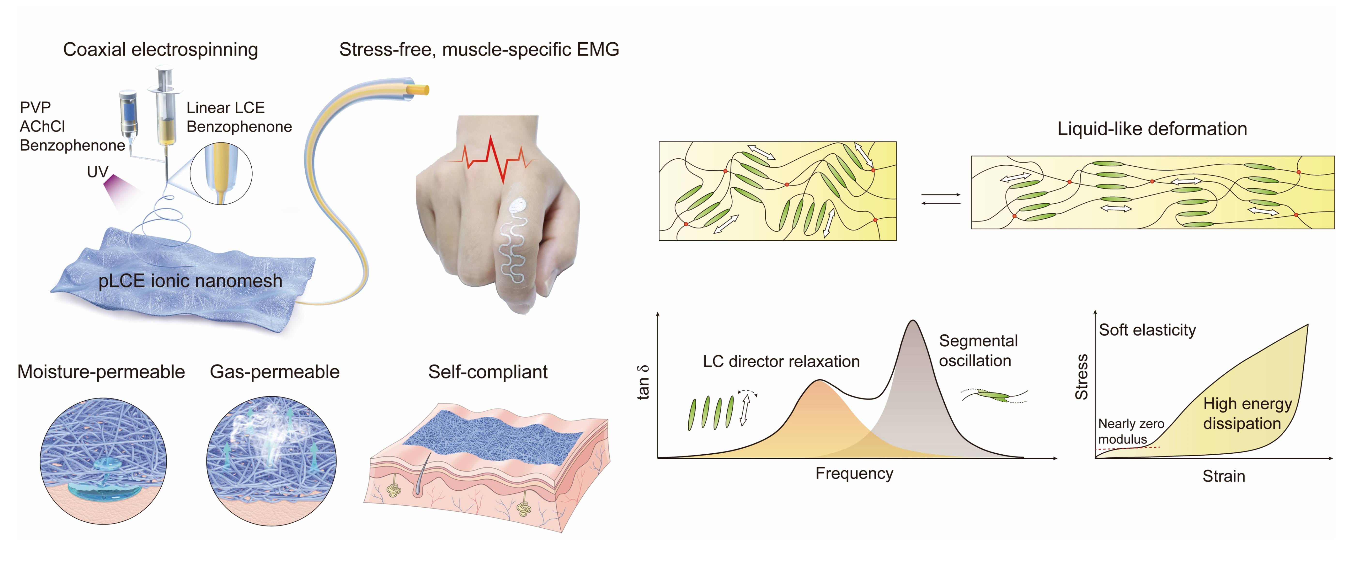 超薄透气自顺服离子皮肤