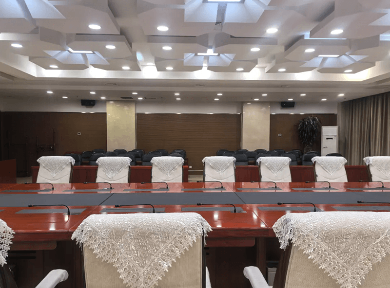 行政中心会议系统方案